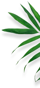 Pujiang Qiying Industry and Trade Co., Ltd.